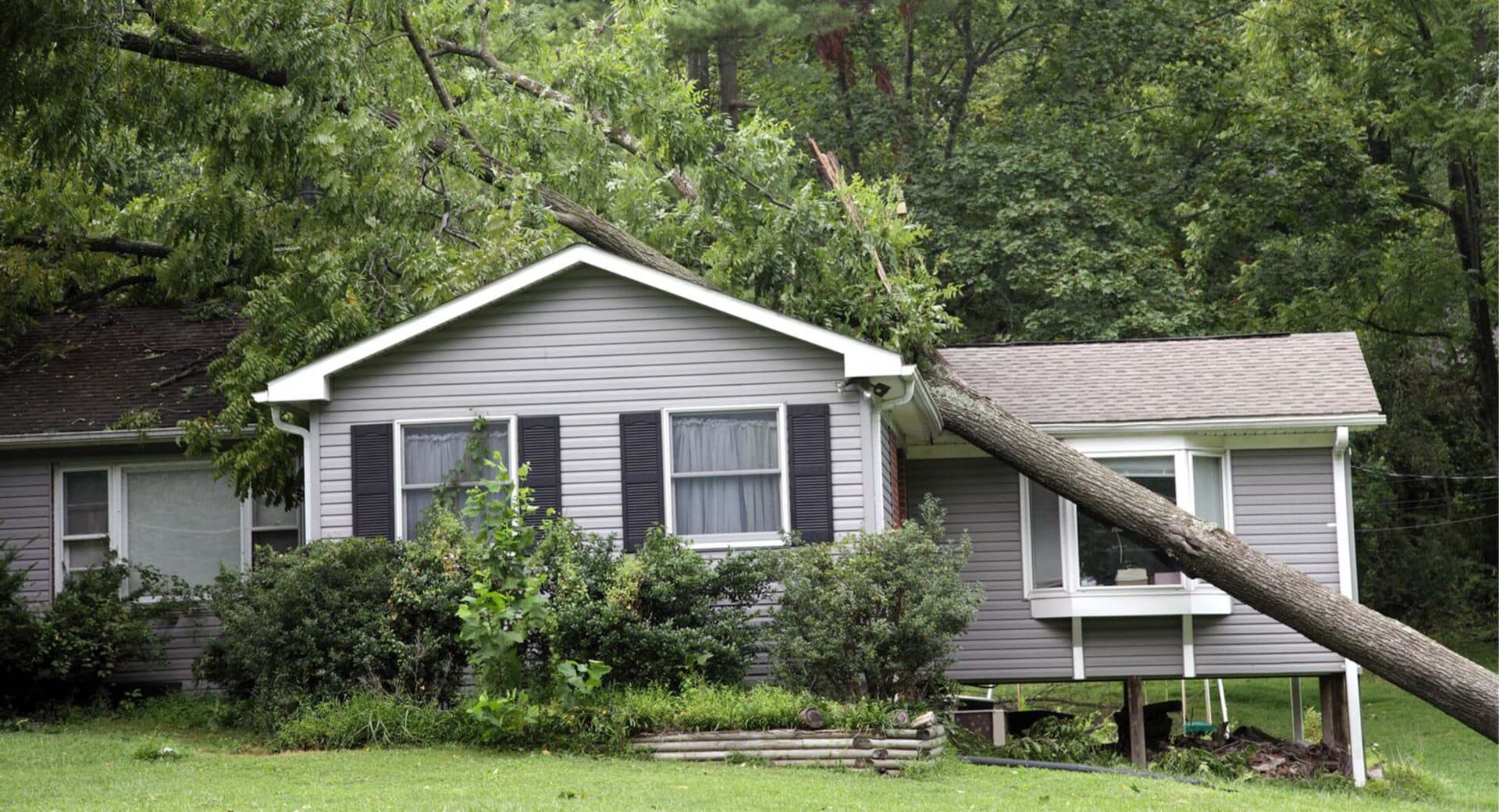 A fallen tree resting on top of a residential home roof causing damage after a storm
