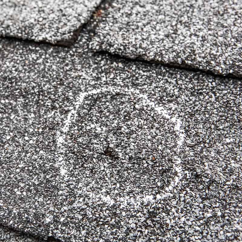 Storm Damaged Shingle with circle mark to highlight storm damage repair spots
