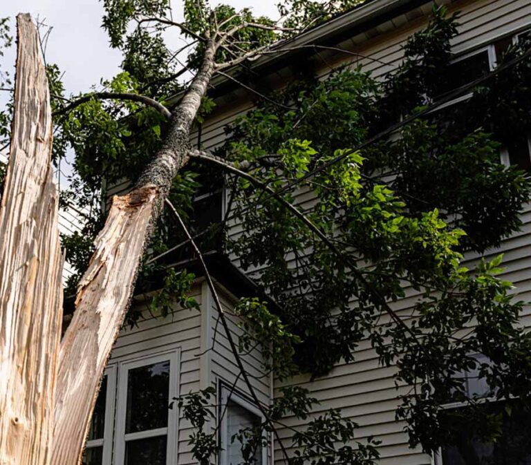 Tree laying on house causing damage after a large storm