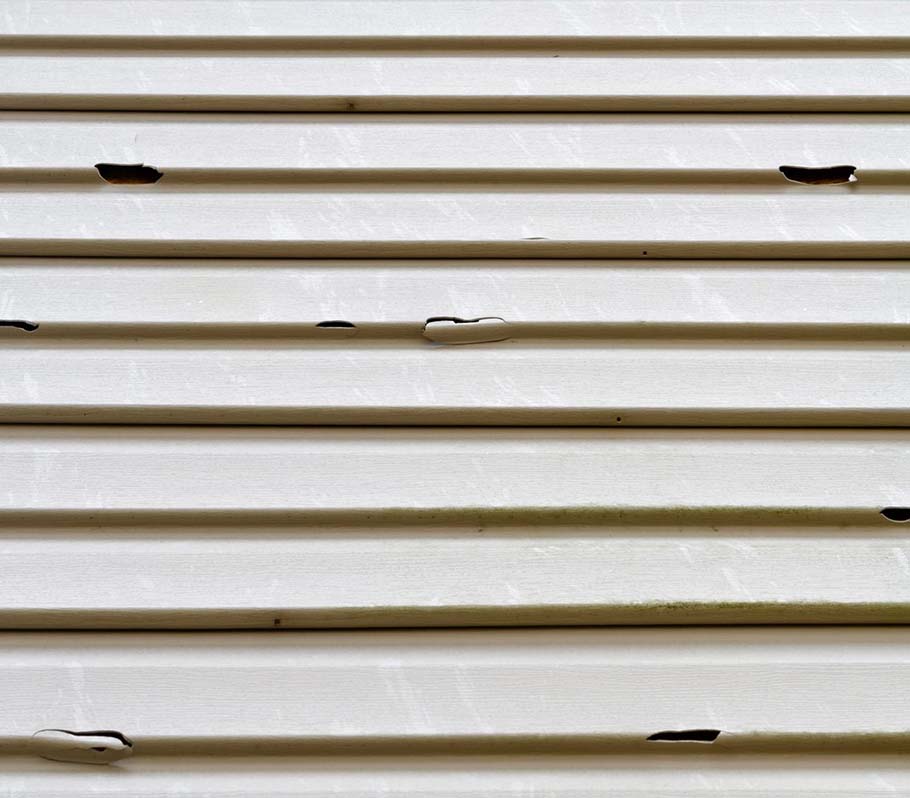 close up of exterior siding damage from chipping