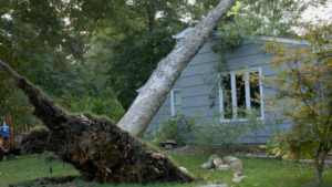 Large tree uprooted and fallen onto home Xtreme Exteriors in Goodlettsville, TN
