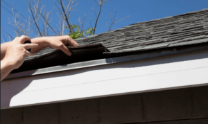 Lifted up shingle during a roof inspection by Xtreme Exteriors in Nixa, MO