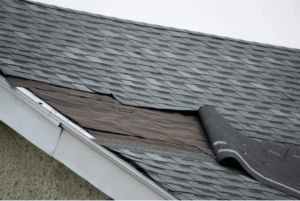 Spot Early Signs of Roof Damage | Xtreme Exteriors