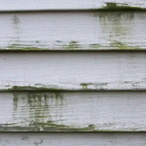 Close-up of exterior siding showing weather wear and need for warranty protection | Xtreme Exteriors in Nixa, MO