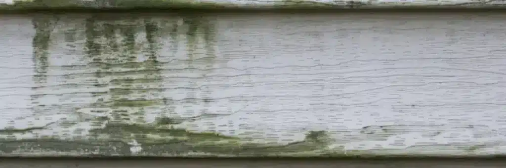 Close-up of exterior house siding with mold and weather damage, showing the need for replacement or repair by Xtreme Exteriors Nixa, MO in Springdale.